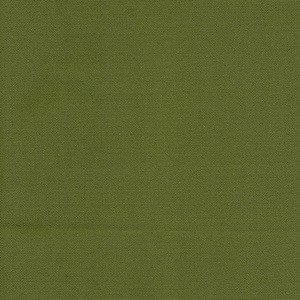 Cartenza 070 Olive Green