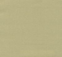 Isshiki Kiwi