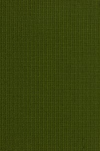 Revyva Atlantic Caiman
