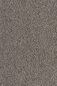 Revyva Boucle Wuther